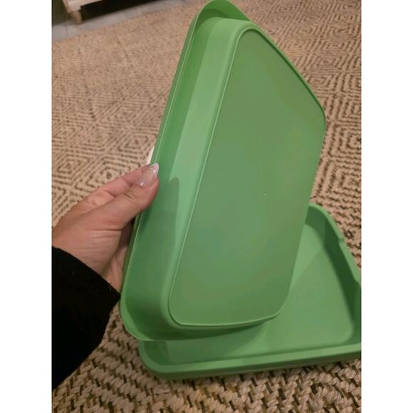 4 Pcs Seed Sprouter Tray with Drain Holes for Microgreens Growing Kit - Picture 3 of 16